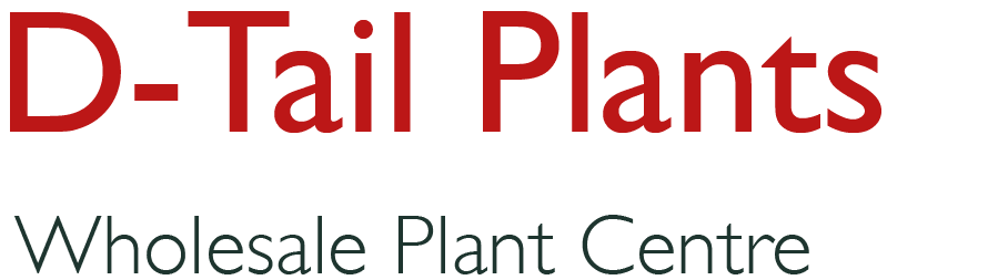 D-Tails Plants - Wholesale Plant Centre